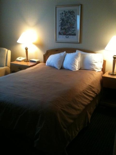 Carol Hotel Omaha Kamer foto